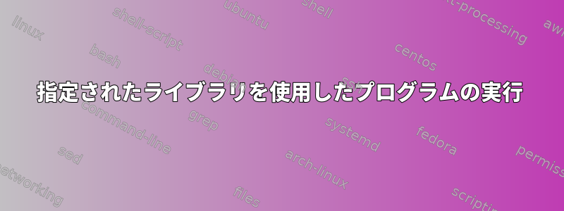 指定されたライブラリを使用したプログラムの実行