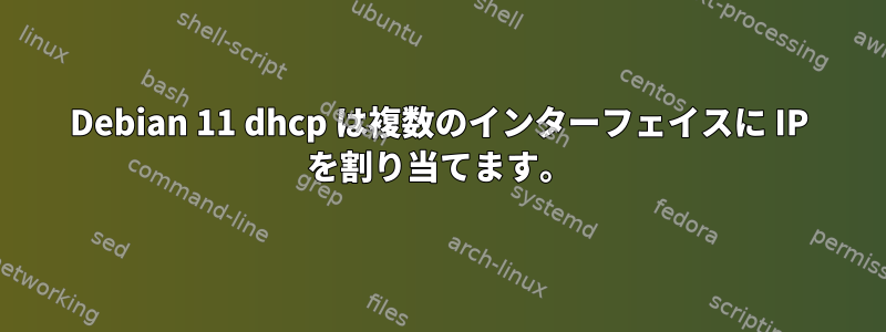 Debian 11 dhcp は複数のインターフェイスに IP を割り当てます。