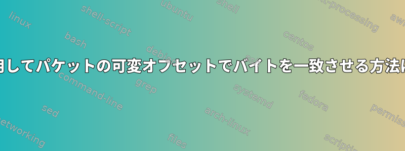 nftablesを使用してパケットの可変オフセットでバイトを一致させる方法はありますか？