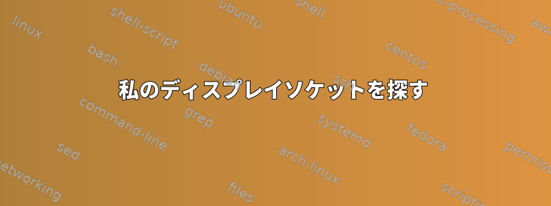 私のディスプレイソケットを探す