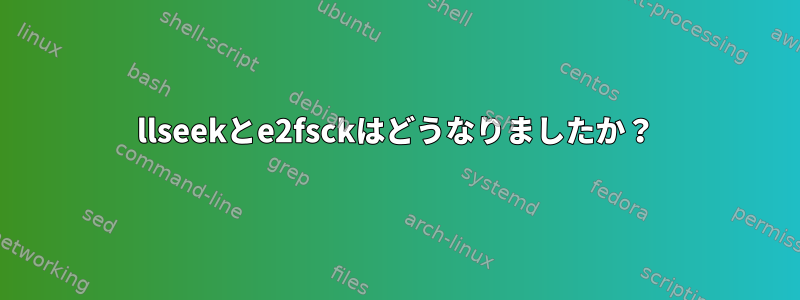 llseekとe2fsckはどうなりましたか？