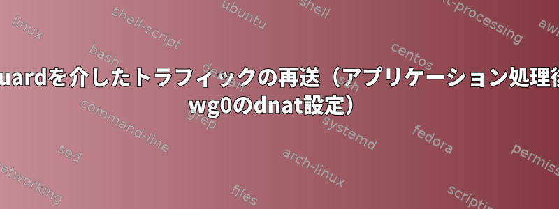 WireGuardを介したトラフィックの再送（アプリケーション処理後のoif wg0のdnat設定）