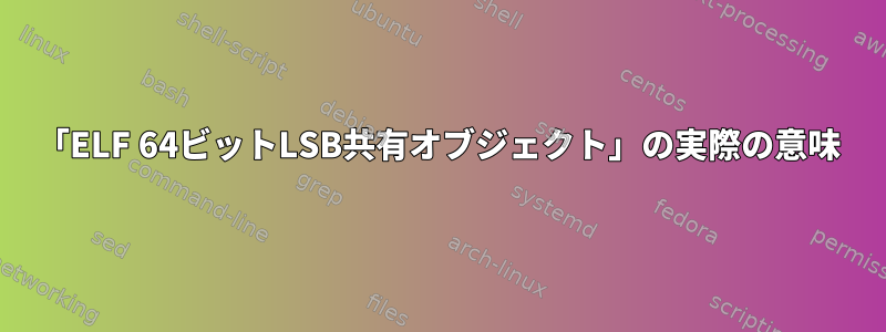 「ELF 64ビットLSB共有オブジェクト」の実際の意味