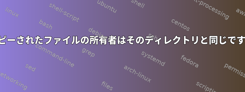 コピーされたファイルの所有者はそのディレクトリと同じです。