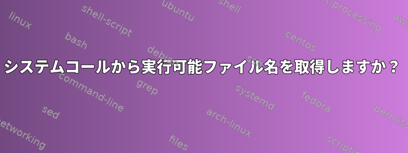 システムコールから実行可能ファイル名を取得しますか？