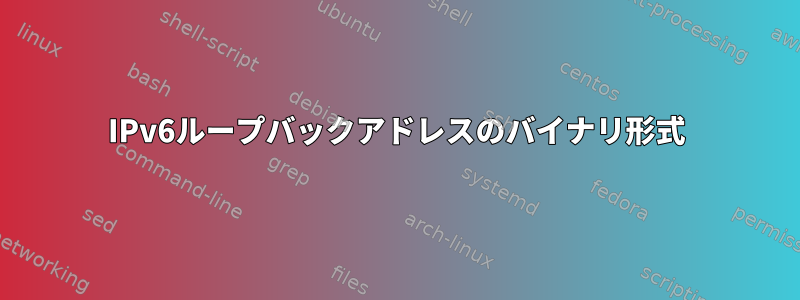 IPv6ループバックアドレスのバイナリ形式