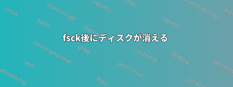 fsck後にディスクが消える