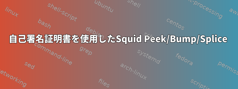 自己署名証明書を使用したSquid Peek/Bump/Splice