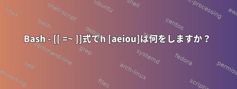 Bash - [[ =~ ]]式でh [aeiou]は何をしますか？