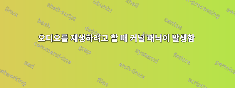 오디오를 재생하려고 할 때 커널 패닉이 발생함