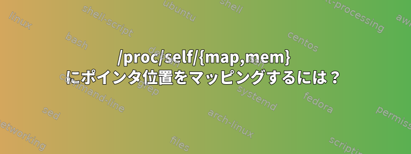 /proc/self/{map,mem} にポインタ位置をマッピングするには？