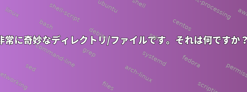 非常に奇妙なディレクトリ/ファイルです。それは何ですか？