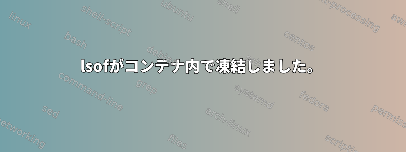 lsofがコンテナ内で凍結しました。