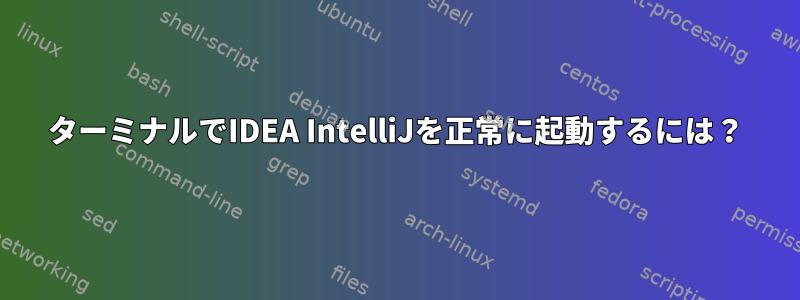 ターミナルでIDEA IntelliJを正常に起動するには？