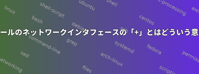 iptablesルールのネットワークインタフェースの「+」とはどういう意味ですか？