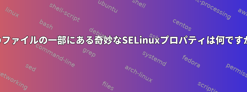 私のファイルの一部にある奇妙なSELinuxプロパティは何ですか？