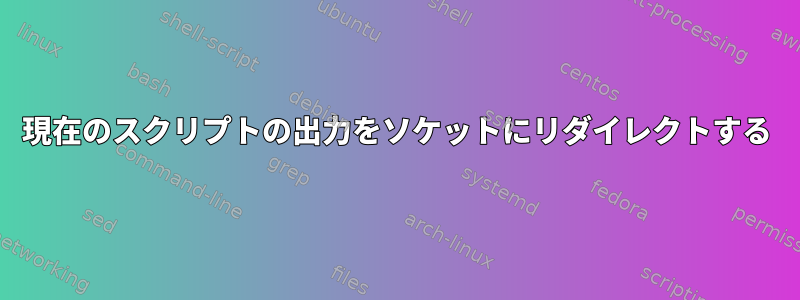 現在のスクリプトの出力をソケットにリダイレクトする