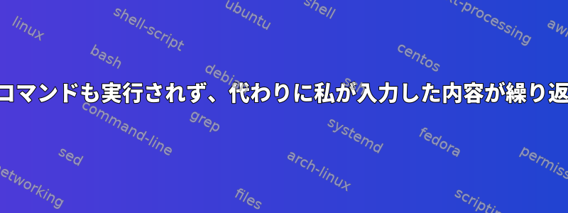 端末、どのコマンドも実行されず、代わりに私が入力した内容が繰り返されます。