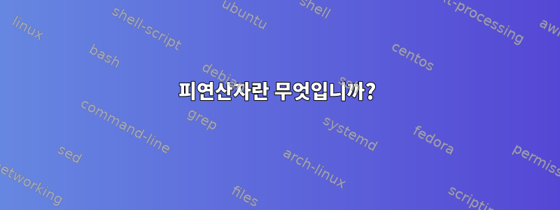 피연산자란 무엇입니까?