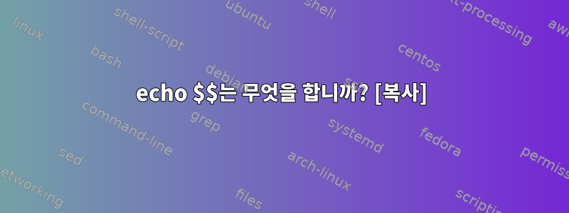 echo $$는 무엇을 합니까? [복사]