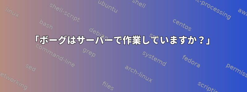 「ボーグはサーバーで作業していますか？」