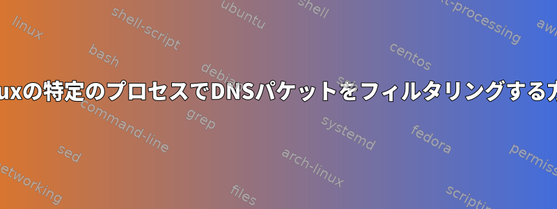 Linuxの特定のプロセスでDNSパケットをフィルタリングする方法