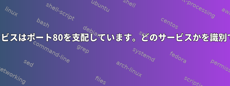 一部の秘密サービスはポート80を支配しています。どのサービスかを識別できませんか？