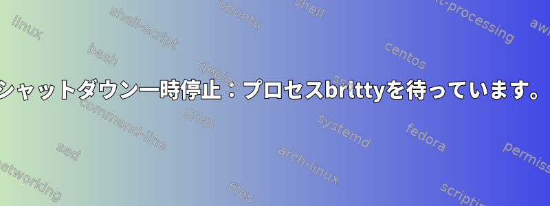 シャットダウン一時停止：プロセスbrlttyを待っています。