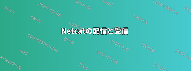 Netcatの配信と受信