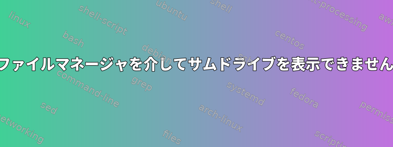 ファイルマネージャを介してサムドライブを表示できません