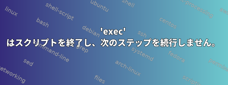 'exec' はスクリプトを終了し、次のステップを続行しません。