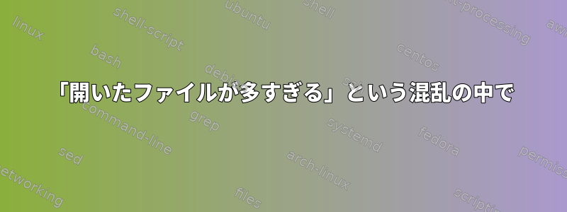 「開いたファイルが多すぎる」という混乱の中で