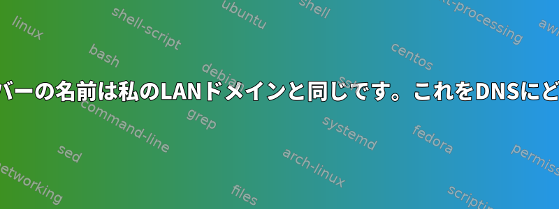 会社のネットワークサーバーの名前は私のLANドメインと同じです。これをDNSにどのように入力しますか？