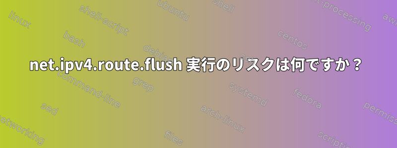 net.ipv4.route.flush 実行のリスクは何ですか？