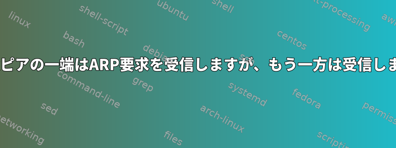 IP-Linkピアの一端はARP要求を受信しますが、もう一方は受信しません。