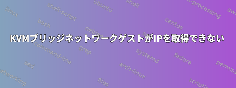 KVMブリッジネットワークゲストがIPを取得できない