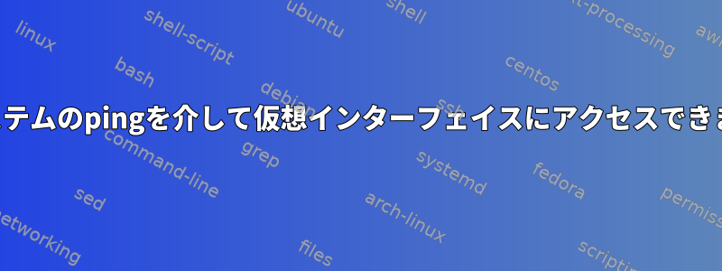 他のシステムのpingを介して仮想インターフェイスにアクセスできません。