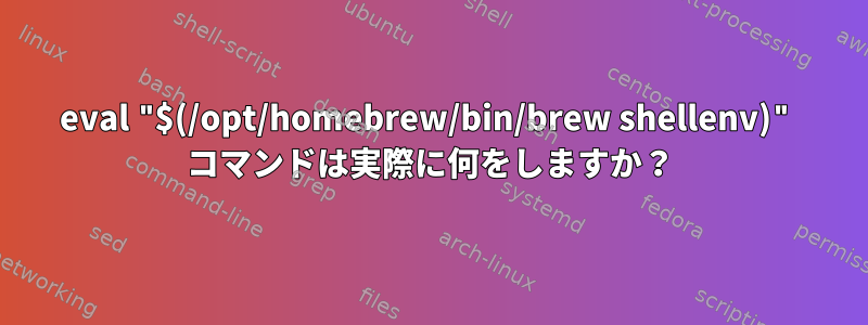 eval "$(/opt/homebrew/bin/brew shellenv)" コマンドは実際に何をしますか？