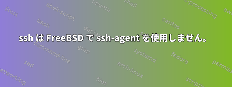 ssh は FreeBSD で ssh-agent を使用しません。