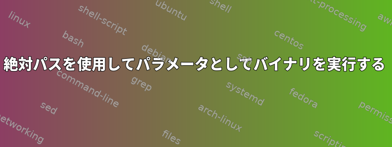 絶対パスを使用してパラメータとしてバイナリを実行する