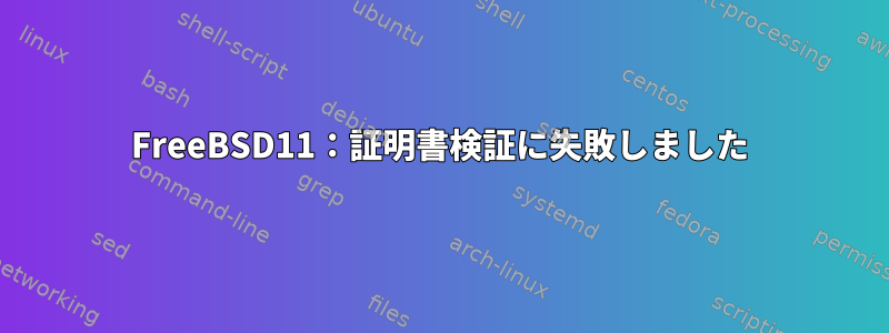 FreeBSD11：証明書検証に失敗しました