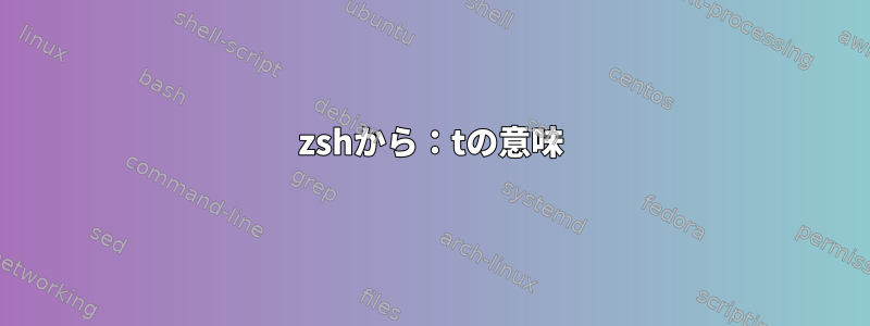 zshから：tの意味