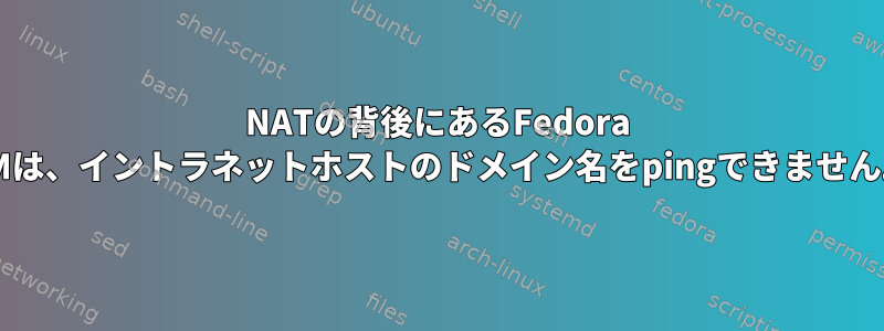 NATの背後にあるFedora VMは、イントラネットホストのドメイン名をpingできません。