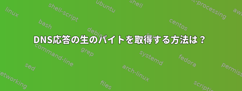 DNS応答の生のバイトを取得する方法は？