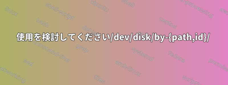 使用を検討してください/dev/disk/by-{path,id}/