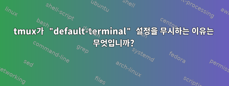 tmux가 "default-terminal" 설정을 무시하는 이유는 무엇입니까?