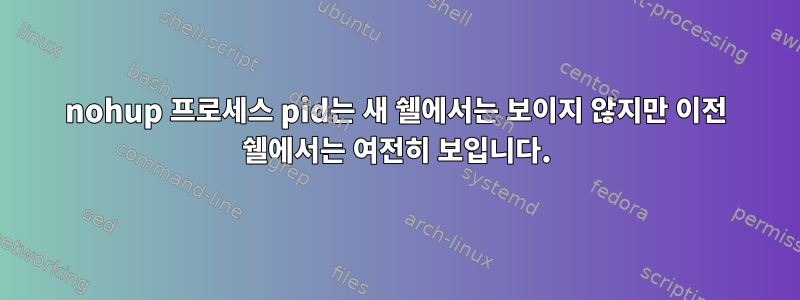 nohup 프로세스 pid는 새 쉘에서는 보이지 않지만 이전 쉘에서는 여전히 보입니다.