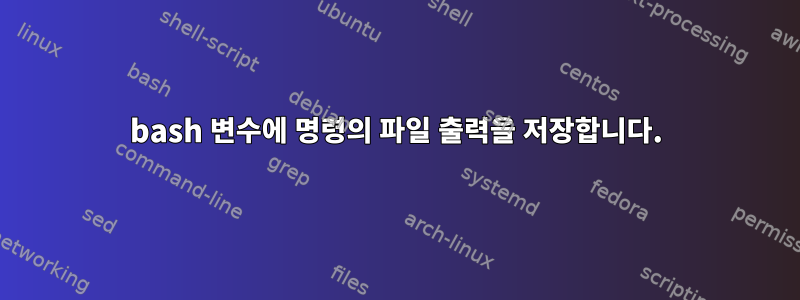 bash 변수에 명령의 파일 출력을 저장합니다.