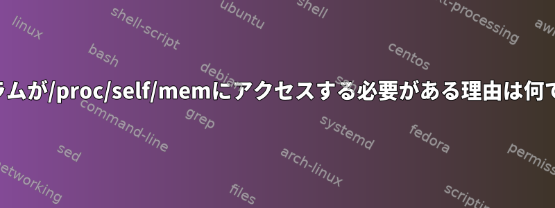 プログラムが/proc/self/memにアクセスする必要がある理由は何ですか？