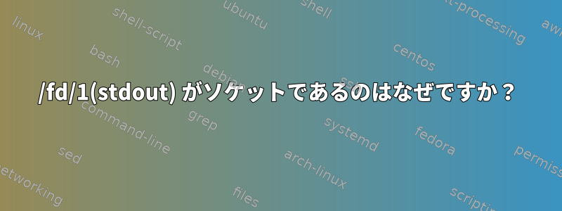 /fd/1(stdout) がソケットであるのはなぜですか？